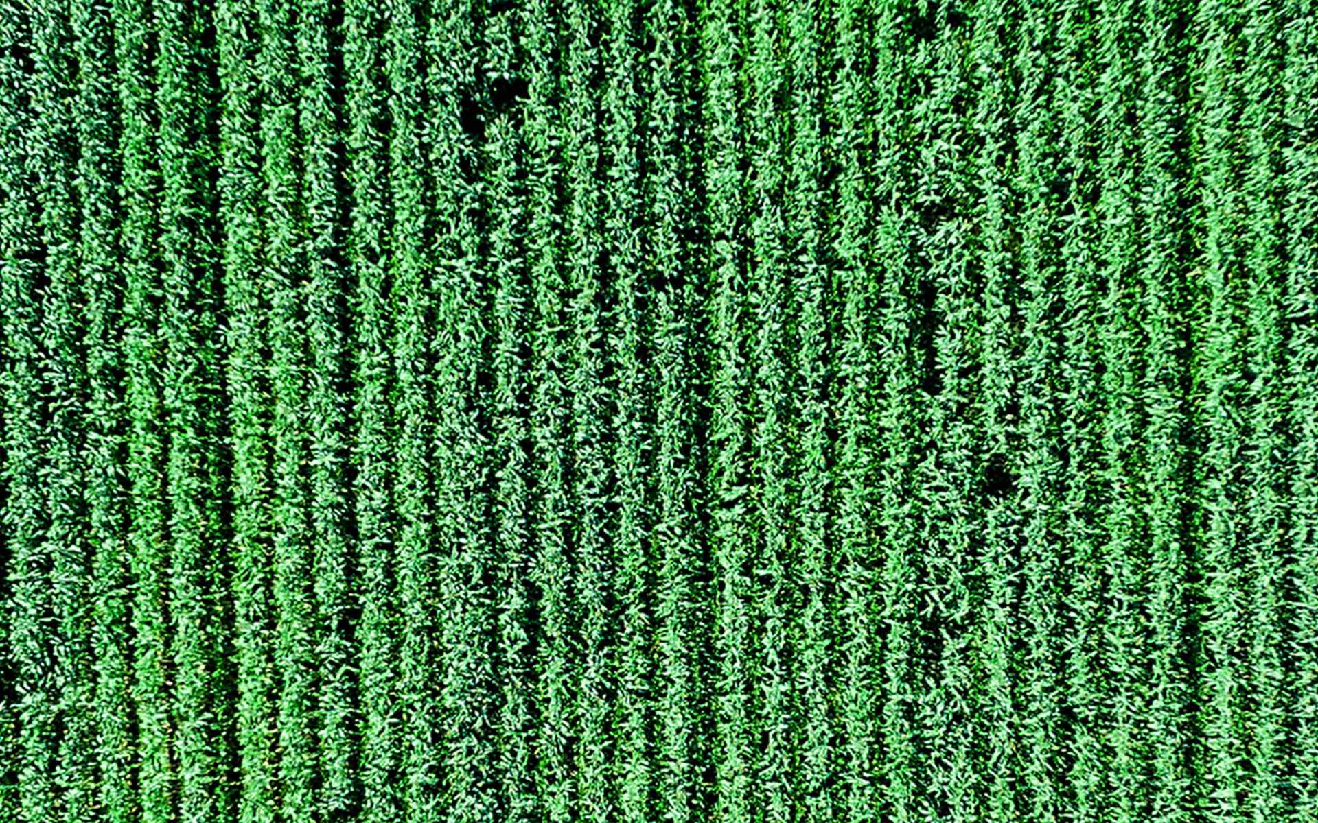 https://hdcdroneworx.com/wp-content/uploads/2017/12/home_inner_07.jpg